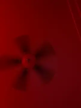 Snapshot of Taydagr8 chatting on 09/19/25, 07:56 Taydagr8 online show from 09/19/25, 07:56