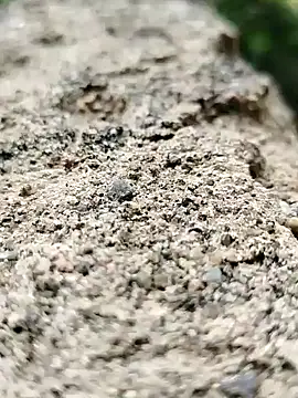 Snapshot of Girls_pussy_rider chatting on 09/14/25, 01:50 Girls pussy rider online show from 09/14/25, 01:50