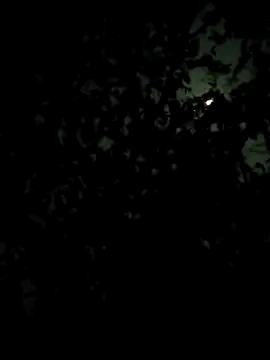 Girls pussy rider online show from 02/28/26, 07:13