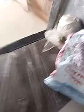 Snapshot of Wet_BunnyFun chatting on 02/25/26, 10:04 Wet BunnyFun online show from 02/25/26, 10:04