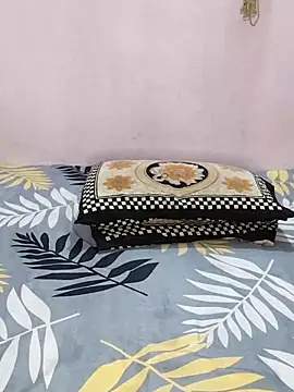 sneha bebo online show from 04/12/26, 03:15