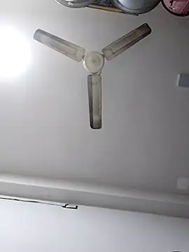 sneha bebo online show from 12/20/25, 10:40