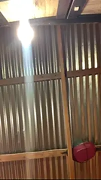 jabulani2600 online show from 01/06/26, 09:08