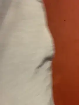 jabulani2600 online show from 02/22/26, 06:16