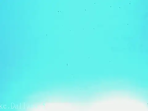 zeus 7777 online show from 06/24/26, 08:57