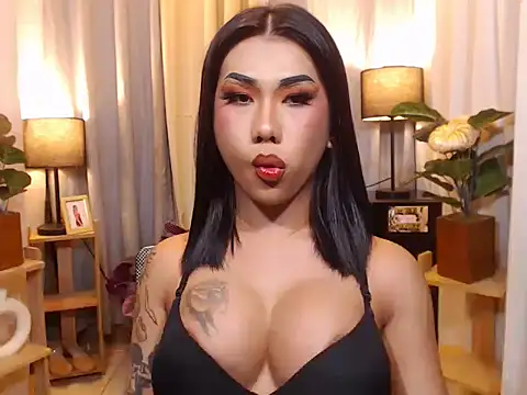 TRANSPORNIDOL online show from 02/08/26, 03:54