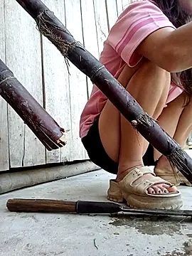 daisy will online show from 02/16/26, 08:02