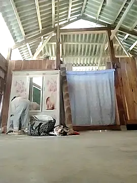 daisy will online show from 11/28/25, 01:06