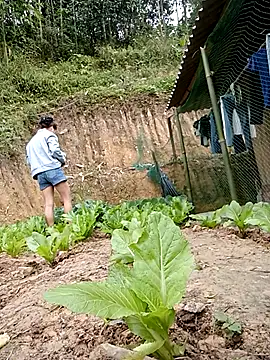 daisy will online show from 01/19/26, 03:21