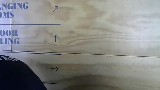 mason fit online show from 11/17/25, 08:35