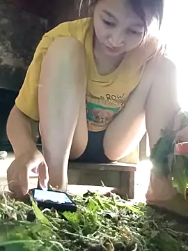 spsale online show from 04/12/26, 05:33