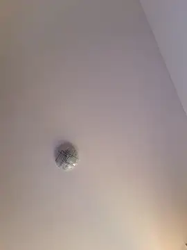 alinaalinutzq online show from 11/03/25, 08:40