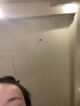 MengMeng0515 online show from 03/11/26, 02:22