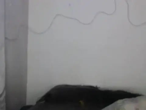 xalejo max online show from 02/16/26, 07:34