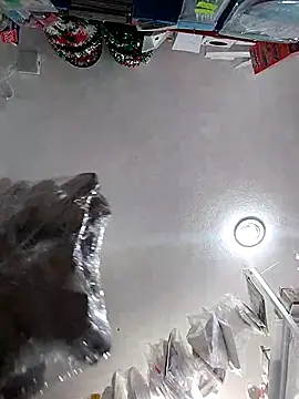 Snapshot of icpetlsjrukgwaykjrw_25 chatting on 11/14/25, 08:56 icpetlsjrukgwaykjrw 25 online show from 11/14/25, 08:56