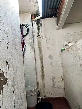 Brayanellatino online show from 04/06/26, 08:10