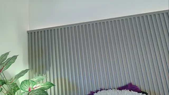 Celeste Presstigge online show from 11/24/25, 11:27