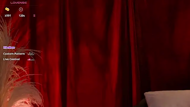 Snapshot of VicenteFerrer chatting on 02/14/26, 01:17 VicenteFerrer online show from 02/14/26, 01:17