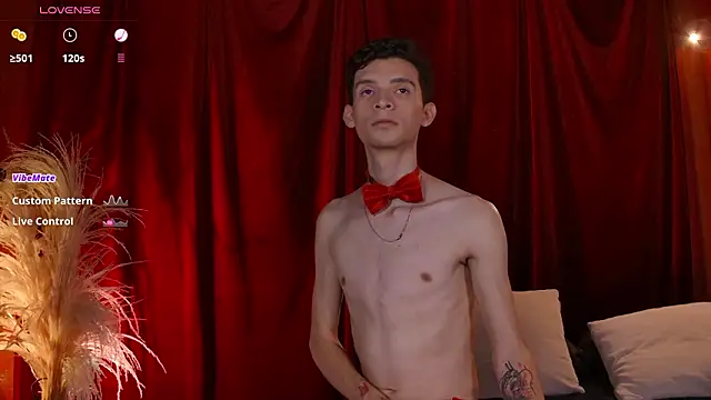 Snapshot of VicenteFerrer chatting on 02/13/26, 02:33 VicenteFerrer online show from 02/13/26, 02:33