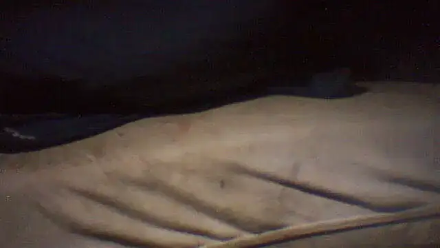 pietje1991 online show from 05/15/26, 05:11
