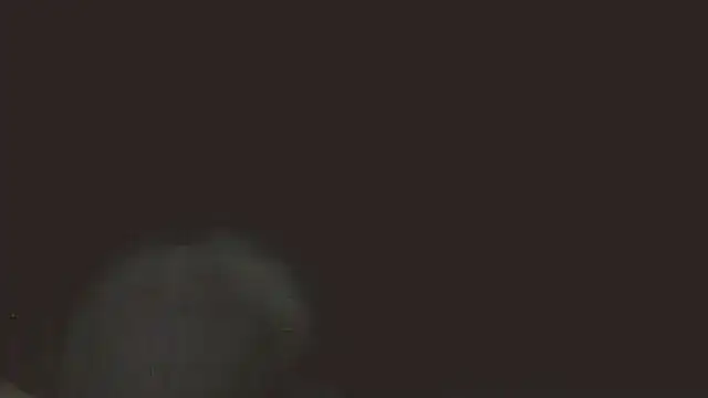 pietje1991 online show from 05/16/26, 11:37