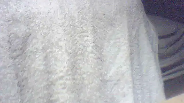 Snapshot of pietje1991 chatting on 06/04/26, 06:29 pietje1991 online show from 06/04/26, 06:29