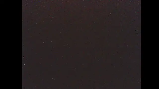 pietje1991 online show from 01/14/26, 04:05