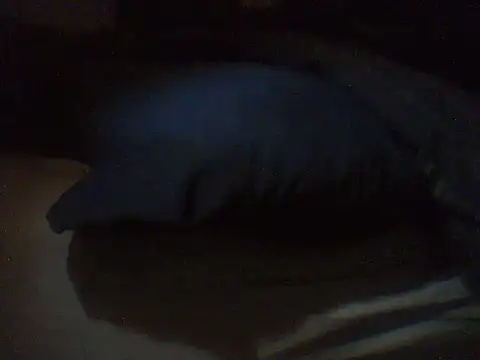 pietje1991 online show from 03/18/26, 04:19