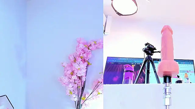 maily zanss online show from 03/04/26, 07:43