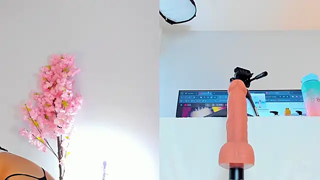 maily zanss online show from 11/21/25, 07:24