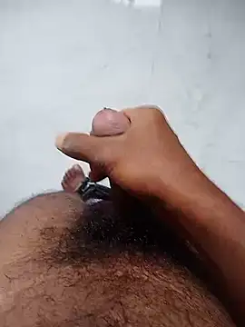 Marathi bull online show from 11/01/25, 08:19