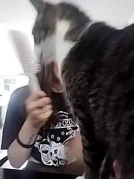 Cami Konor online show from 09/11/25, 04:07