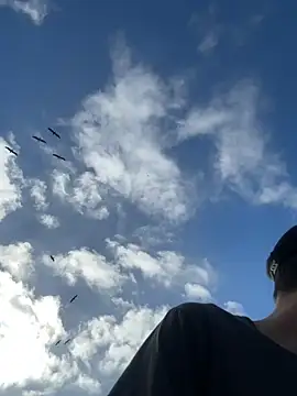 thejohnryancollection online show from 10/22/25, 10:41