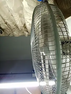 HarryChoudhary21 online show from 11/03/25, 12:42