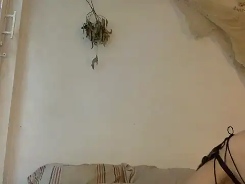 haley diosita online show from 06/25/26, 10:04