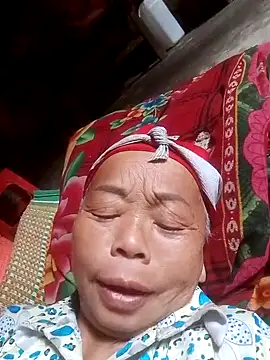 Snapshot of VangLe73 chatting on 10/17/25, 06:06 VangLe73 online show from 10/17/25, 06:06