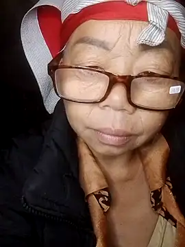 Snapshot of VangLe73 chatting on 11/13/25, 08:24 VangLe73 online show from 11/13/25, 08:24