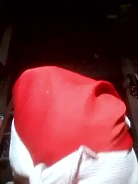 Snapshot of VangLe73 chatting on 11/10/25, 11:59 VangLe73 online show from 11/10/25, 11:59