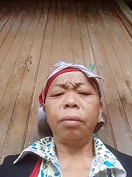 Snapshot of VangLe73 chatting on 10/14/25, 11:58 VangLe73 online show from 10/14/25, 11:58