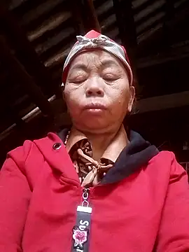 Snapshot of VangLe73 chatting on 12/02/25, 04:47 VangLe73 online show from 12/02/25, 04:47