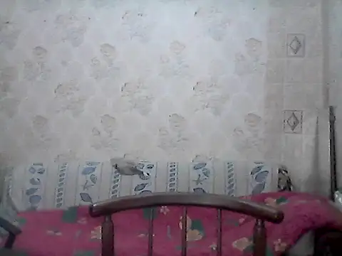 NatalieNorth online show from 02/27/26, 10:20