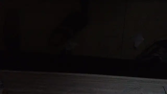 luisahot 9727 online show from 03/26/26, 06:11