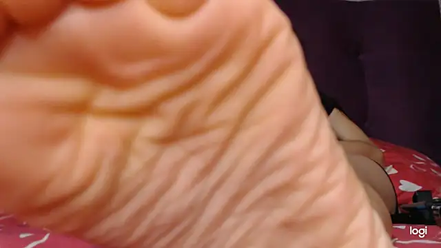 ash feet online show from 11/17/25, 02:59