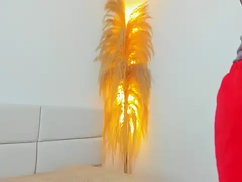 Snapshot of Kieran_kian chatting on 02/14/26, 12:33 Kieran kian online show from 02/14/26, 12:33