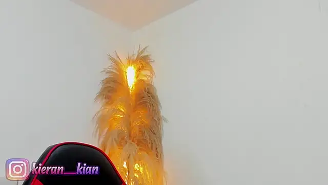 Snapshot of Kieran_kian chatting on 04/19/26, 03:57 Kieran kian online show from 04/19/26, 03:57