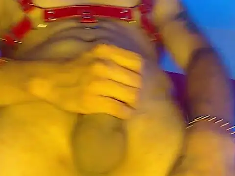 Npga96 online show from 03/22/26, 09:44