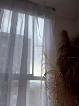 Snapshot of Sofi_Leal chatting on 01/08/26, 12:11 Sofi Leal online show from 01/08/26, 12:11