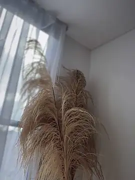 Sofi Leal online show from 11/26/25, 01:00