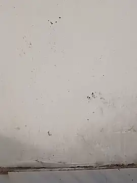 Snapshot of monubigcoock chatting on 11/17/25, 09:57 monubigcoock online show from 11/17/25, 09:57