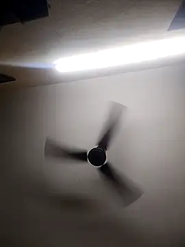 Snapshot of Devi-with-Ram chatting on 10/13/25, 04:36 Devi-with-Ram online show from 10/13/25, 04:36